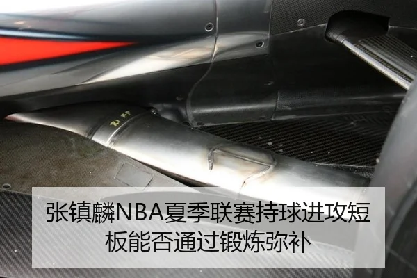 张镇麟NBA夏季联赛持球进攻短板能否通过锻炼弥补