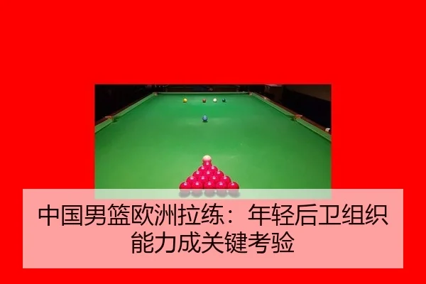zhong-guo-nan-lan-ou-zhou-la-lian-nian-qing-hou-wei-zu-zhi-neng-li-cheng-guan-jian-kao-yan-2-617.jpg