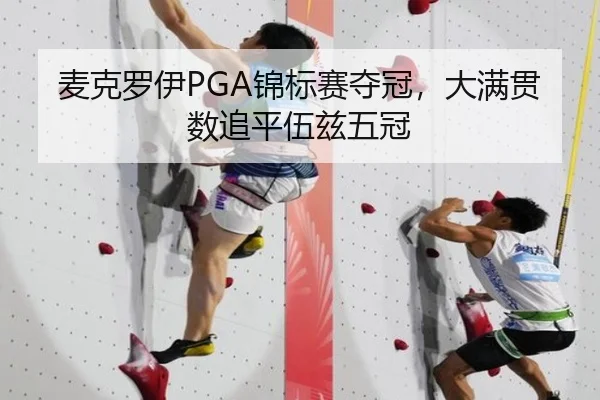 麦克罗伊PGA锦标赛夺冠，大满贯数追平伍兹五冠