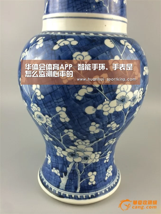 华体会滚球