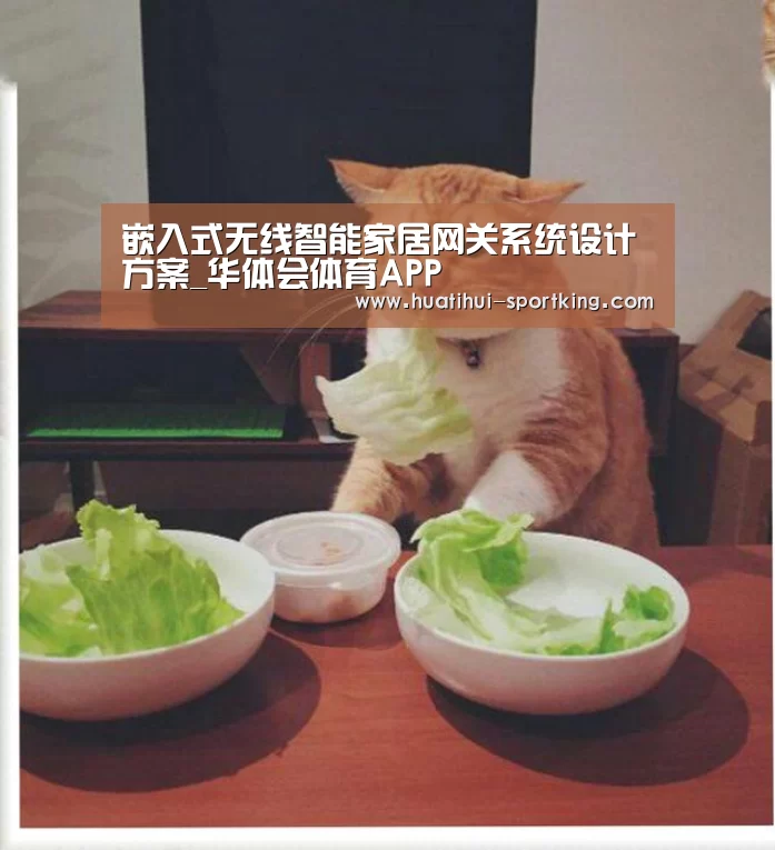 华体会体育APP