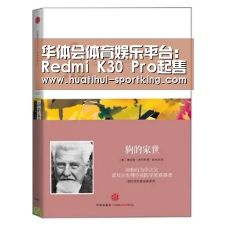 华体会体育娱乐平台:Redmi K30 Pro起售价揭晓:继续死磕极致性价比(图2) 华体会体育娱乐平台